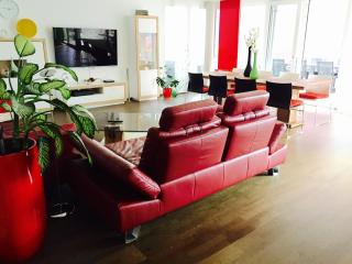 Rhein Melodie riverview luxury - 4