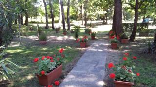 Residence Lagomare - Torre del Lago Puccini - 8