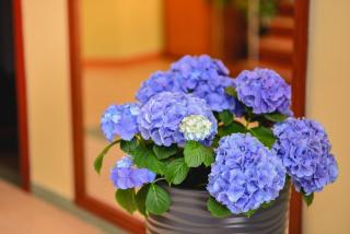 Astra Hotel - Klaipeda - 2