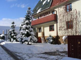 Apartamenty Matuska - Poronin - 7
