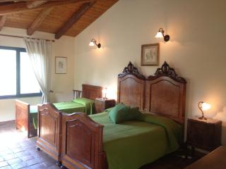 Bed and Breakfast Il Glicine - Piedimonte Etneo - 1