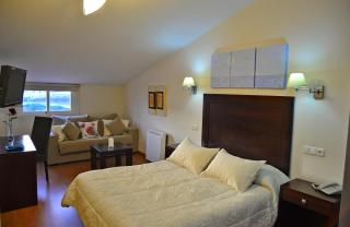 Hotel & Spa PLAZA Arriate - Arriate - 4