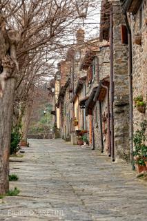 Il Nido Di Asia - Cortona - 1