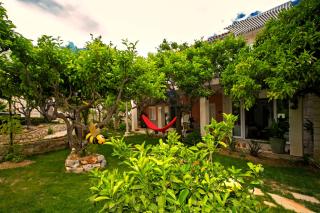 Terrace Apartment - Hvar - 5