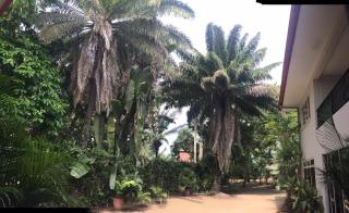 Mathurin Appartementen - Paramaribo - 9