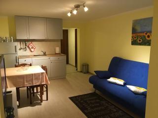 Apartment Branka - 0