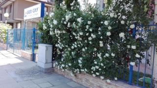 Sun City Apartments - 6