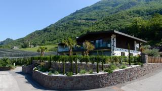 Moar Lodge - Postal - 0