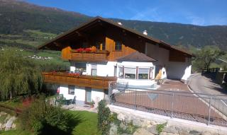 Schultes Evelyn - Jerzens - 0
