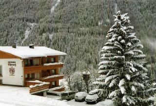 Gastehaus Alpenruh - Prägraten am Großvenediger - 9