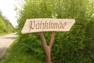 Pähklimäe Laagrikeskus - 8