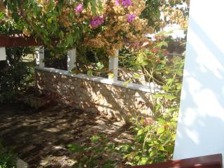 Apartments Lovor - Silba - 1