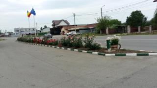Motel Cargo - Ţăndărei - 8