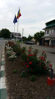 Motel Cargo - Ţăndărei - 4