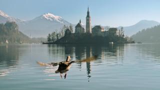 Apartment April - Bled - 9