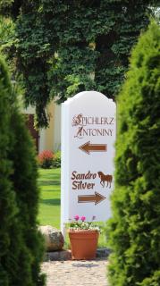 Hotel Sandro Silver & Spichlerz Antoniny - Leszno - 9