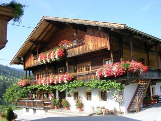 Appartements Stoffenhof - Alpbach - 0