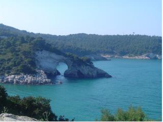 Pellegrino Village - Vieste - 2