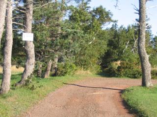 Shaw's Hotel & Cottages - 8