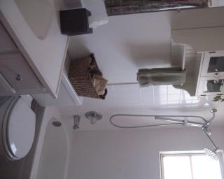 Mon Ami Bed and Breakfast - Tucson - 1