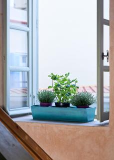Guesthouse Lila - Ermoupoli - 3