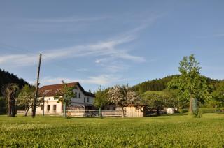 Apartmán Kamenný Dům - Jilemnice - 4