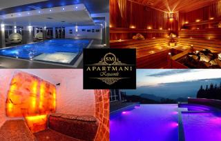 SM Apartments Kopaonik - Kopaonik - 1