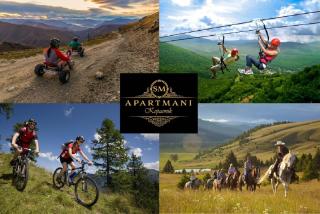 SM Apartments Kopaonik - 8