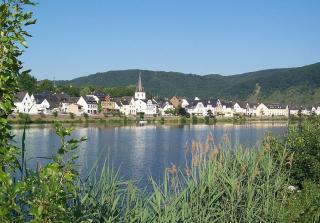Pension Mosellablick - Briedern - 0