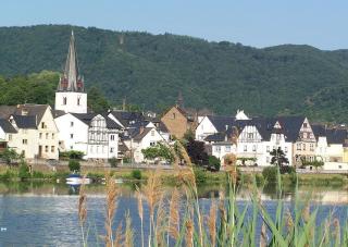 Pension Mosellablick - Briedern - 8