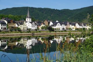 Pension Mosellablick - Briedern - 6
