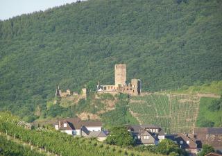 Pension Mosellablick - Briedern - 5