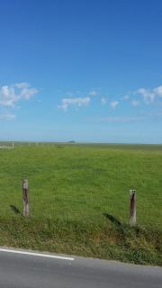 Ferme de la Ruette - 2