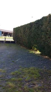 Ferme de la Ruette - Courtils - 5