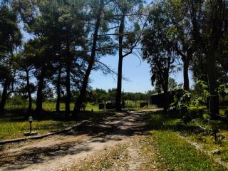 Antonia Beachfront Villa - 2