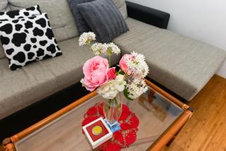 Apartmani Mandic with parking - Zadar - 2