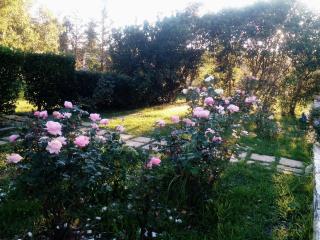 Villa Rose Garden - Agios Ioannis - 3