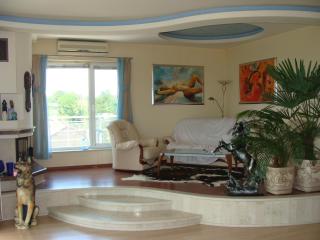 Primorskii park Apartment - 0