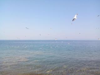 Roula's House - Skala Kallirachis - 9