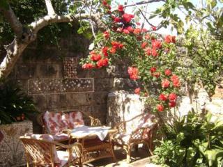 Apartment ANDRIUCI - Cavtat - 1