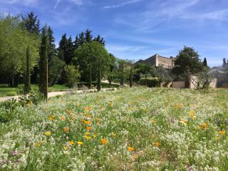 Domaine Les Martins - Gordes - Gordes - 0