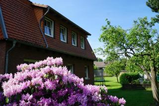 Mansion - Bad Arolsen - 4