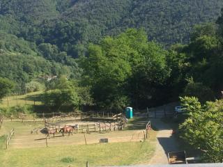 Appartamento Armonia - Podenzana - 3