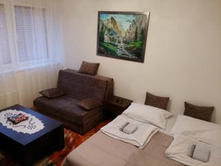 Apartman Sutjeska - Tjentište - 7