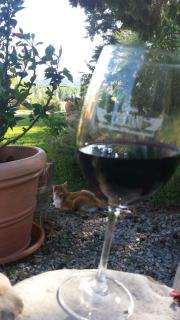Agriturismo Il Cantastorie - Montepulciano - 1