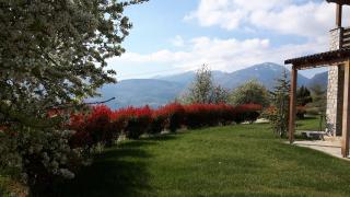 Guesthouse Diochri - Kato Trikala Korinthias - 1