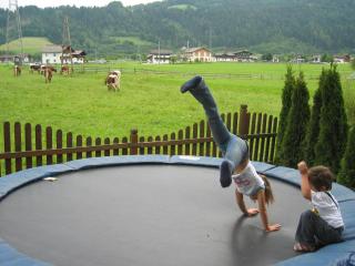 Aparthotel Dachsteinblick - Flachau - 1