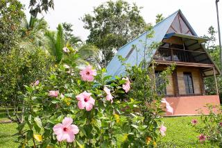 Hostal Finca Ely - Tambo - 9