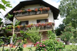 Gasthaus - Gästehaus Schusterbauer - 3