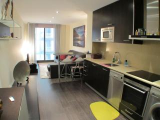 Barcelona4Seasons - Muntaner - Barcelona - 4